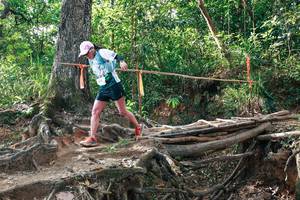 BIB: 
                            <button type="button" onclick="openModal(27555705)" class="btn btn-primary btn-sm float-right btn-popup" data-toggle="modal" data-target=".modal-high-quality">
                        <i class="fas fa-shopping-cart"></i> Add to Cart
                    </button>
                                            <button type="button" onclick="isThisMe(27555705, true)" class="btn btn-success btn-sm float-right btn-popup btn-isme hidden" data-toggle="tooltip" data-placement="bottom" title="นี่คือรูปของคุณใช่ไหม คลิกที่นี่เพื่อเอาเข้าอัลบั้ม">
                        <i class="fas fa-plus"></i> Add to album
                    </button>
                    <button type="button" onclick="isThisMe(27555705, false)" class="btn btn-warning btn-sm float-right btn-popup btn-isnotme hidden">
                        <i class="fas fa-ban"></i> Remove from album
                    </button>